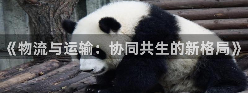 谈球吧言网入口
